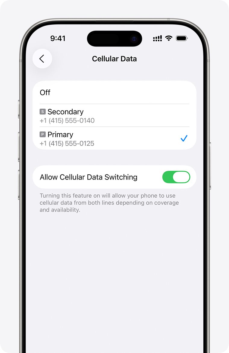 iPhone Cellular Data: choose the SIM used for data. SMS and calls use separate settings.