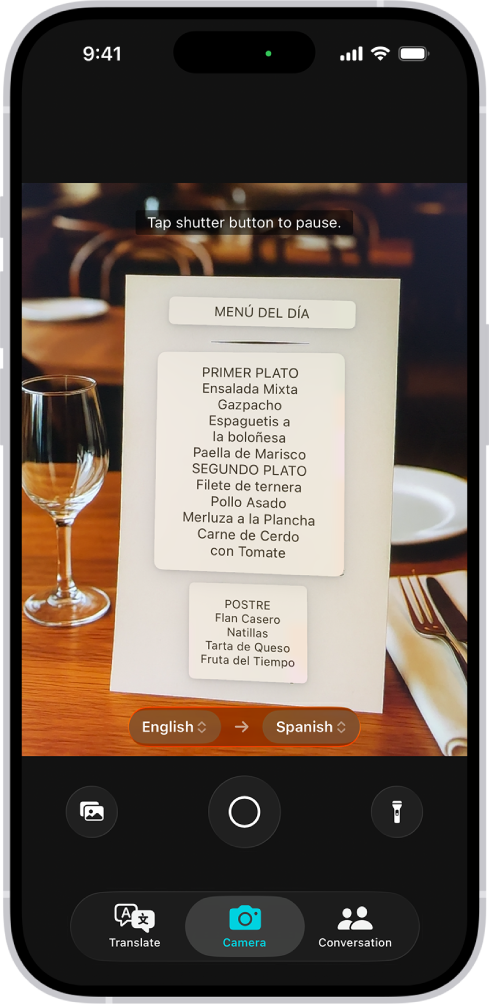 Apple Translate camera example uses English and Spanish. For a Chinese menu, choose Chinese and your reading language.